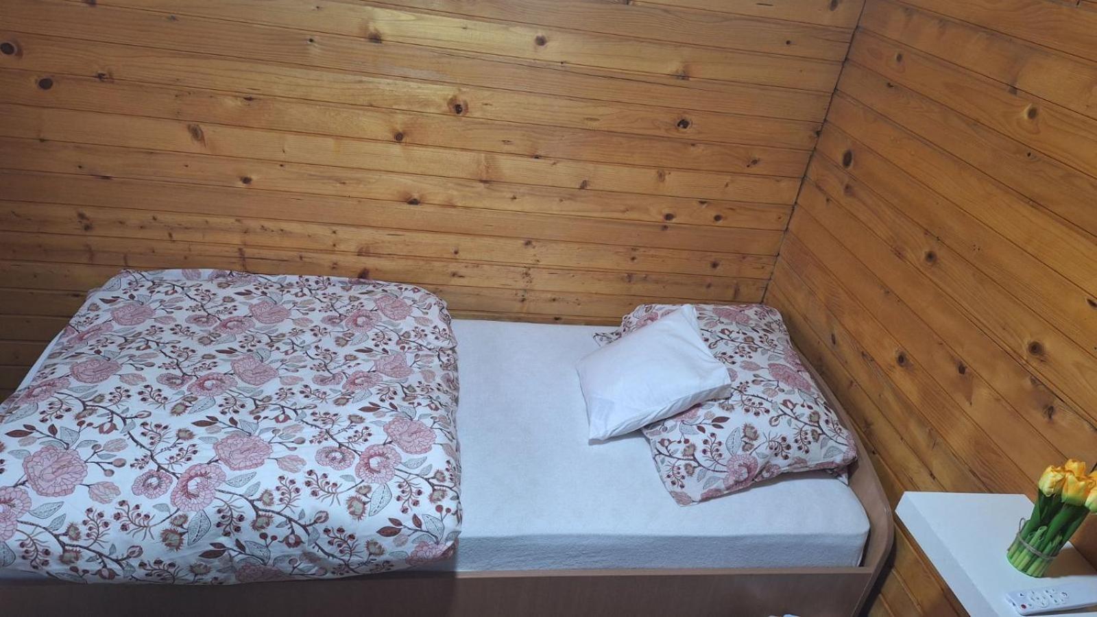 فيلا Wooden House Ada بلغراد المظهر الخارجي الصورة